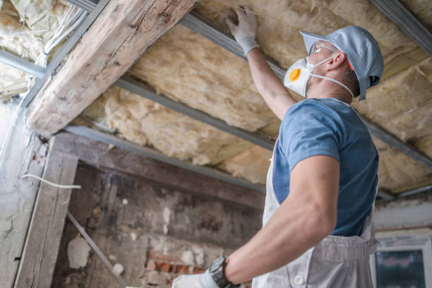 Best Local Insulation Services  in Deer Park, IL