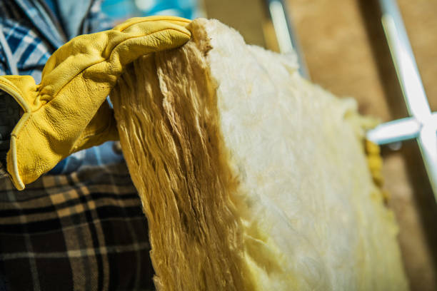 Best Wall Insulation Contractor  in Deer Park, IL