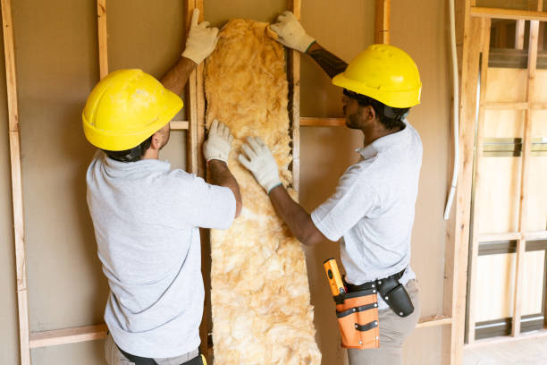 Best Garage Insulation Installation  in Deer Park, IL