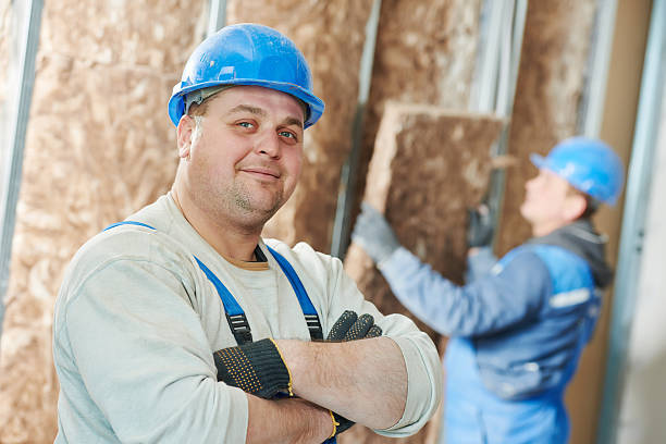 Best Blown-in Insulation  in Deer Park, IL